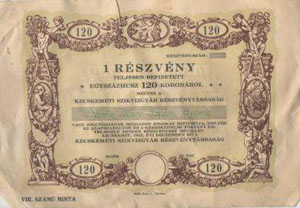 Kecskeméti Szikvízgyár Részvénytársaság részvény 120 korona 1922 MINTA
