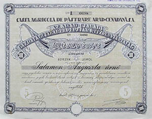 Arad-Csanádi Gazdasági Takarékpénztár Részvénytársaság 5000 lei 1925 Arad