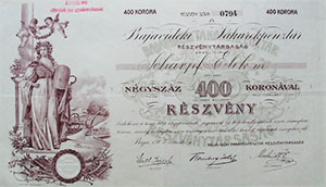Bajavidéki Takarékpénztár Részvénytársaság részvény 400 korona 1905 Baja