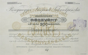 Beregmegyei Központi Takarékpénztár Részvénytársaság részvény 200 korona 1913