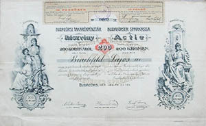 Budaeörsi Takarékpénztár Részvénytársaság részvény 200 korona 1901 Budaörs