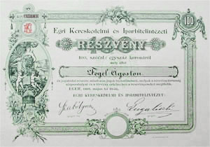 Egri Kereskedelmi és Iparhitelintézet részvény 100 korona 1895