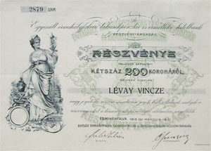 Egyesült Érmihályfalvai Takarékpénztár és Érmelléki Hitelbank Részvénytársaság részvény 200 korona 1913