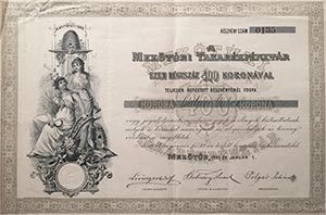 Mezőtúri Takarékpénztár  részvény 400 korona 1895