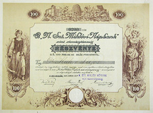 Nagyszentmiklósi Népbank Részvénytársaság részvény 100 forint 1891 Nagyszentmiklós