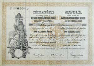 Szekuli Takarék és Hitel Egylet Részvénytársaság részvény 40 korona 1901 Szekul