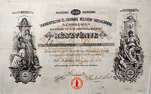 Takarékpénztár és Zálogház Részvénytársaság Szabadka részvény 100 korona 1903
