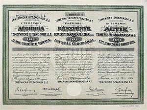 Temerini Takarékpénzár Részvénytársaság részvény 100 korona 1921