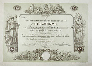 Tisza-füredi Takarékpénztár Részvénytársaság részvény 50 forint 1895 Tiszafüred