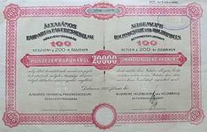 ltalnos Faipari s Fakereskedelmi Rszvnytrsasg Debrecen rszvny 20000 korona 1923