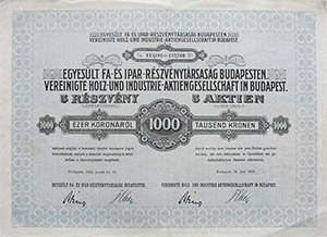 Egyeslt Fa s Ipar Rszvnytrsasg rszvny 5x1000 5000 korona 1923