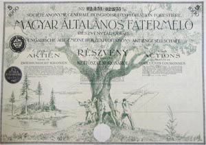 Magyar ltalnos Fatermel Rszvnytrsasg rszvny 5x200 1000 korona 1924