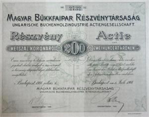 Magyar Bkkfaipar Rszvnytrsasg rszvny 200 korona 1908