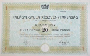 Palgyi Gyula Rszvnytrsasg Fa- s Vasbtorgyr rszvny 20 peng 1926