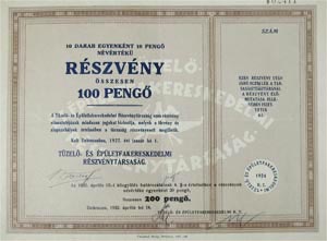 Tzel- s pletfakereskedelmi Rszvnytrsasg rszvny 10x10 100 peng 1927 Debrecen