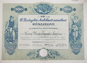 Bodrogközi Lenkikészítő Szövetkezet részjegy 500 korona 1907 Perbenyik