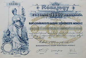 Borsodvármegyei Gazdák Szövetkezete részjegy 100 korona 1920 Miskolcz