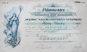 Durable Magyar Gázizzófény Szövetkezet részjegy 120 korona 1902