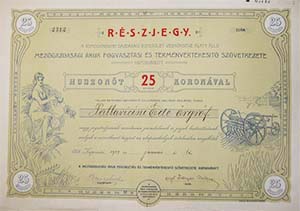 Mezőgazdasági Áruk Fogyasztási és Terményértékesítő  Szövetkezete részjegy 25 korona 1907 Kaposvár