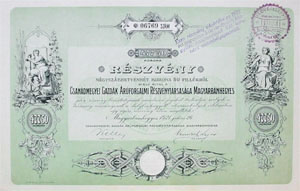 Csanádmegyei Gazdák Áruforgalmi Részvénytársasága Magyarbánhegyes részvény 477,5 korona 1921