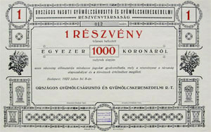 Országos Vasúti Gyümölcsárusító és Gyümölcskereskedelmi Részvénytársaság részvény 1000 korona 1922