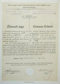 Drávavölgyi (Kiskőszeg-Siklós-Barcsi) Helyi Érdekű Vasót Részvénytársaság élvezeti jegy 1919