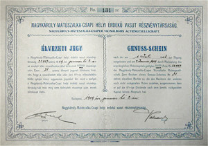 Nagykároly-Mátészalka-Csapi Helyi Érdekű Vasút Részvénytársaság élvezeti jegy 1909