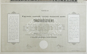 Szatmár-Nagybányai Vasúttársaság törzsrészvény 100 forint 1883
