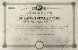 Budafoki Vízvezetéki Részvénytársaság részvény 100 korona 1899