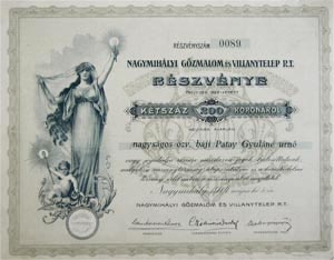 Nagymihályi Gőzmalom és Villanytelep Részvénytársaság részvény 200 korona 1914 Nagymihály