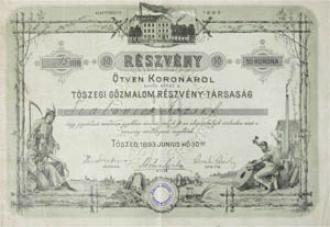 Tószegi Gőzmalom Részvénytársaság részvény 50 korona 1893 Tószeg