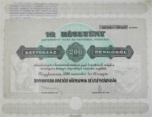 Transdanubia Egyesült Gőzmalmok Részvénytársaság részvény 200 pengő 1926 Nagykanizsa