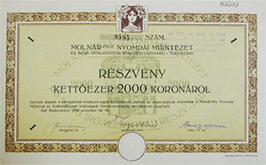 Molnár-féle Nyomdai Műintézet és Szabadalmazott  Iróalzatgyár Részvénytársaság részvény 2000 korona 1923 Szekszárd