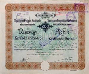 Temesvári Polgári Sörfőzde Részvénytársaság részvény 200 korona 1913