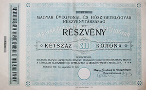 Magyar Üvegfonál és Hőszigetelőgyár Részvénytársaság részvény 200 korona 1912